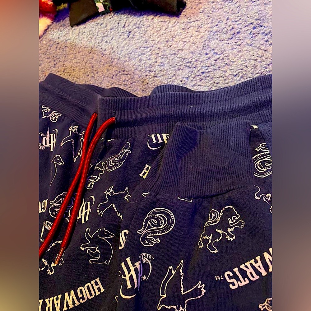 Harry potter joggers!